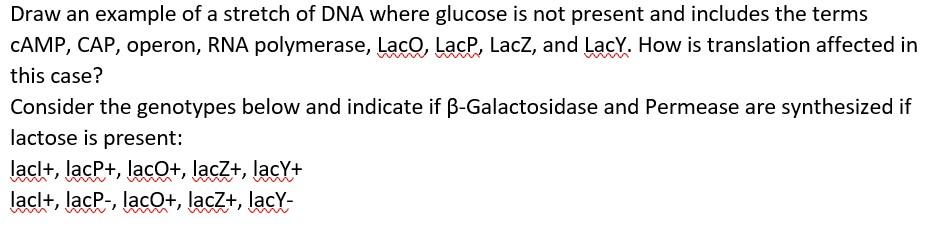 Solved Draw an example of a stretch of DNA where glucose is | Chegg.com