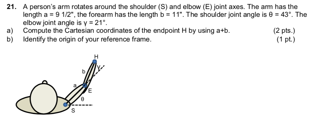 Solved 21. A person's arm rotates around the shoulder (S) | Chegg.com