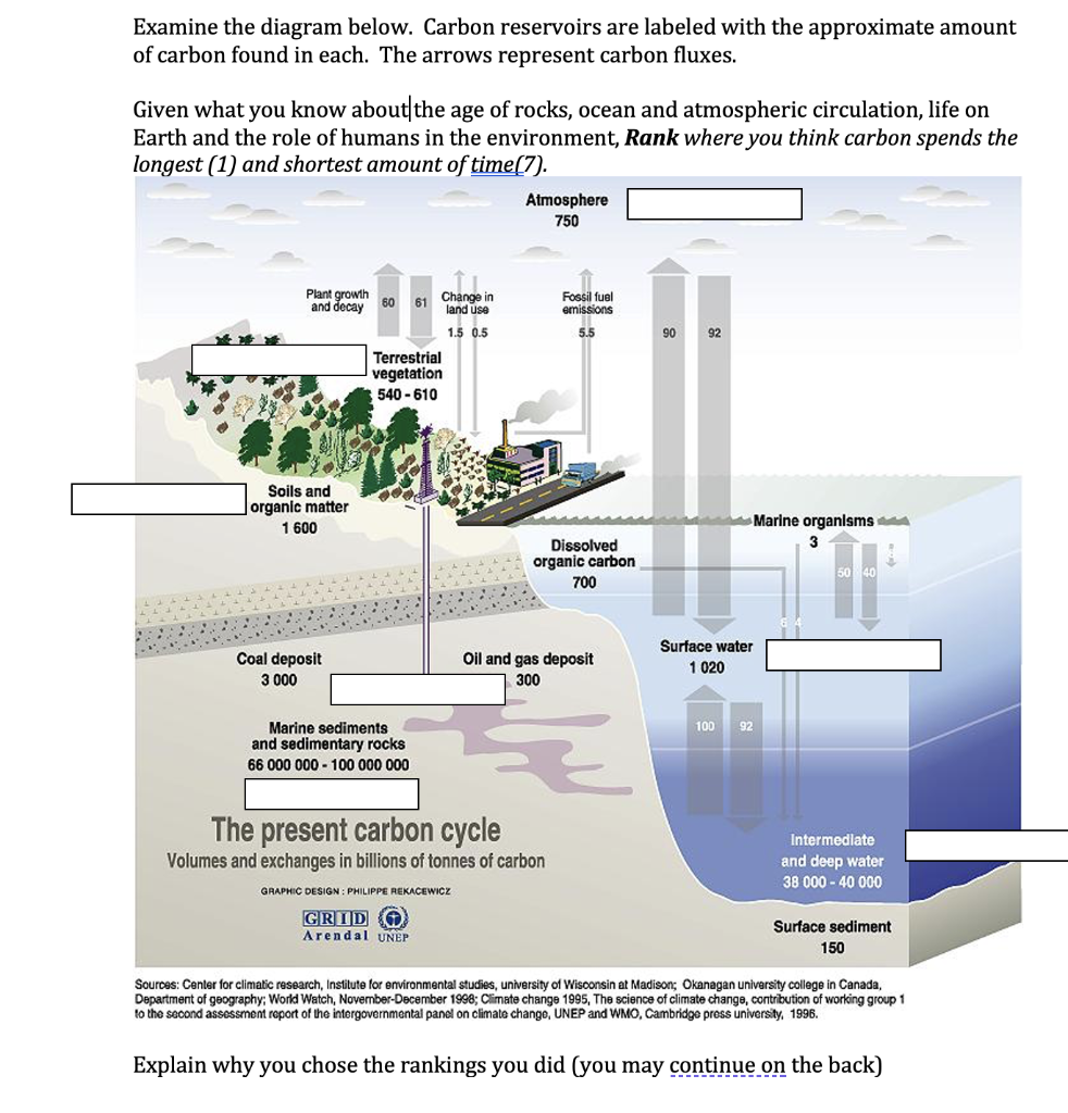 Solved Examine the diagram below. Carbon reservoirs are | Chegg.com