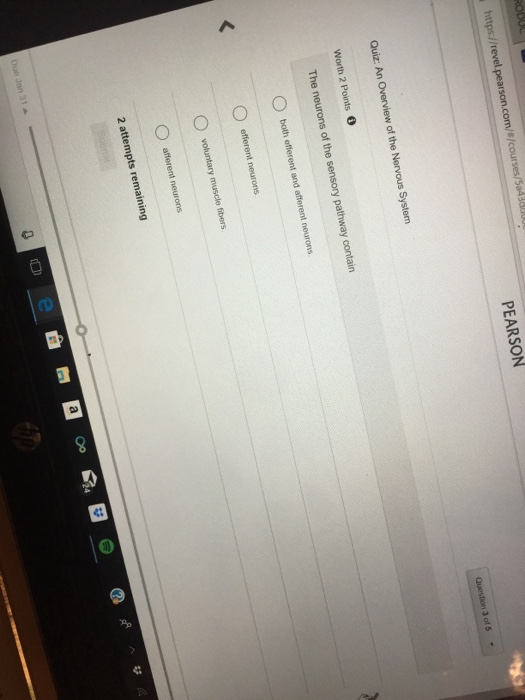 Solved Worth 2 Points。 Which one of the following is NOT a | Chegg.com
