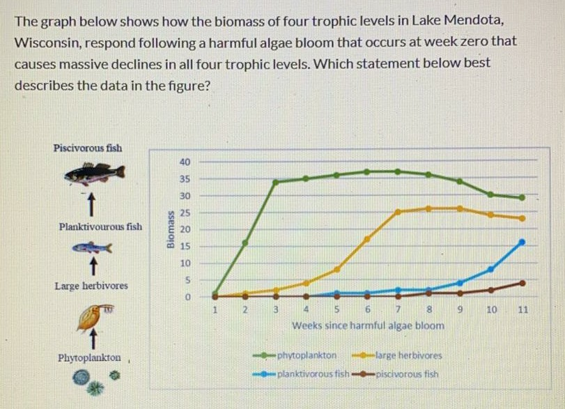 Solved The graph below shows how the biomass of four trophic