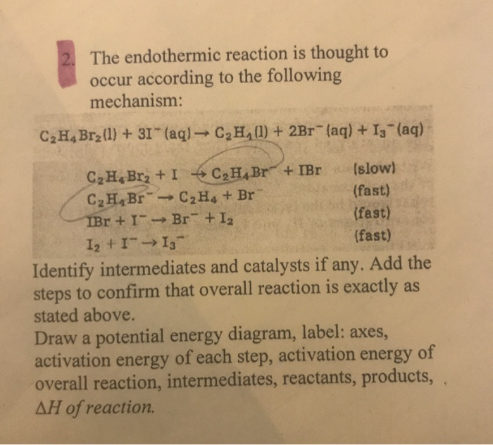 Solved 2 The endothermic reaction is thought to occur Chegg