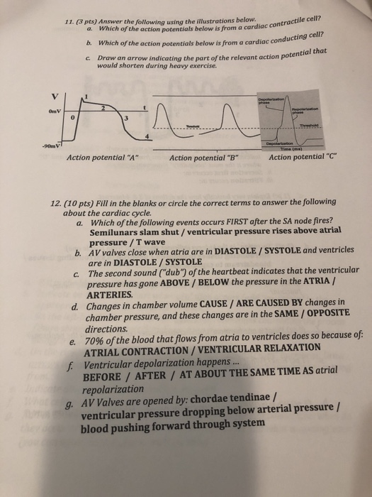 Solved 11. (3 pts) Answer the following using the | Chegg.com
