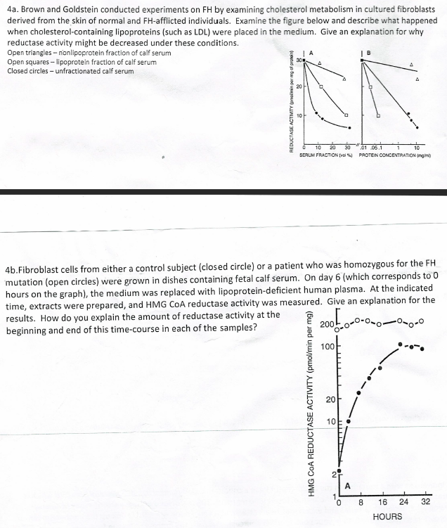 goldstein experiments