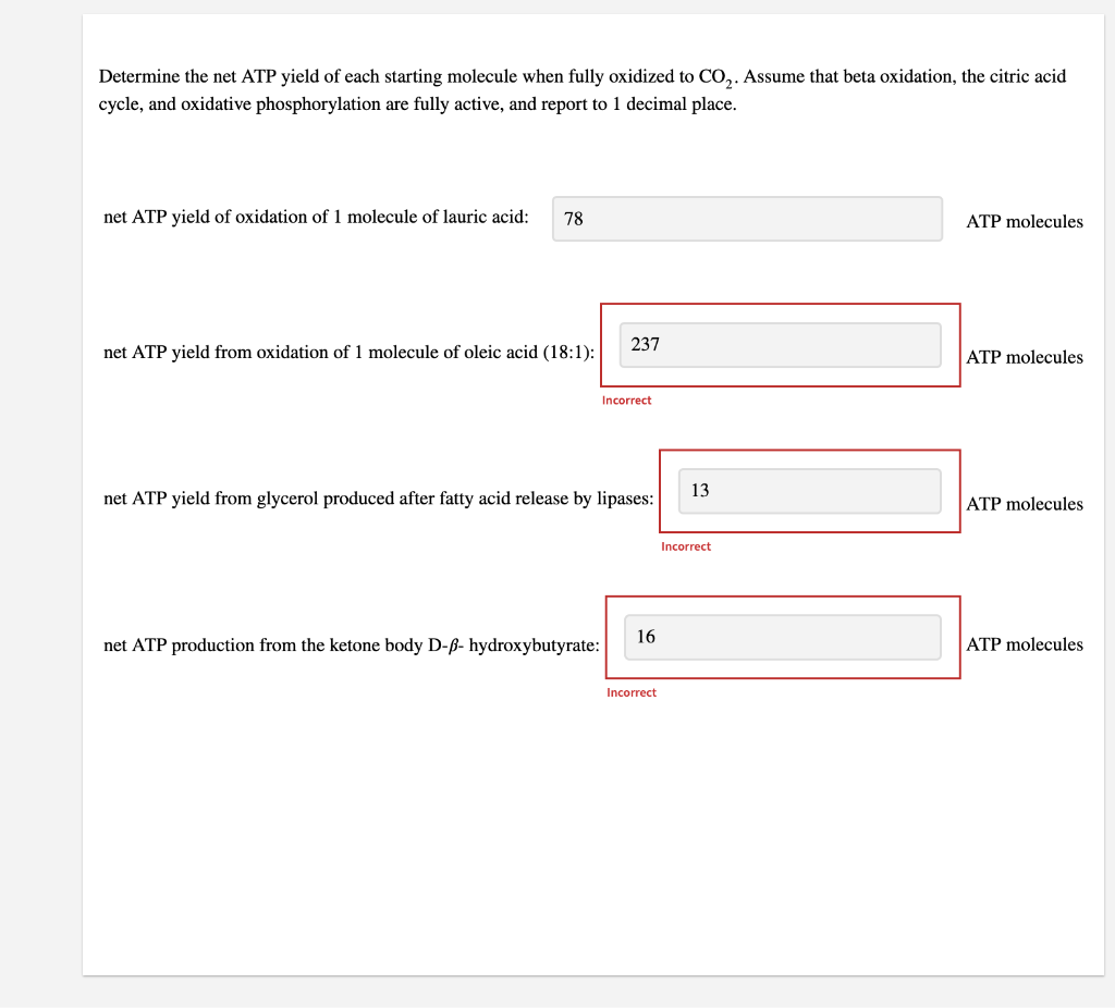 Solved Determine the net ATP yield of each starting molecule