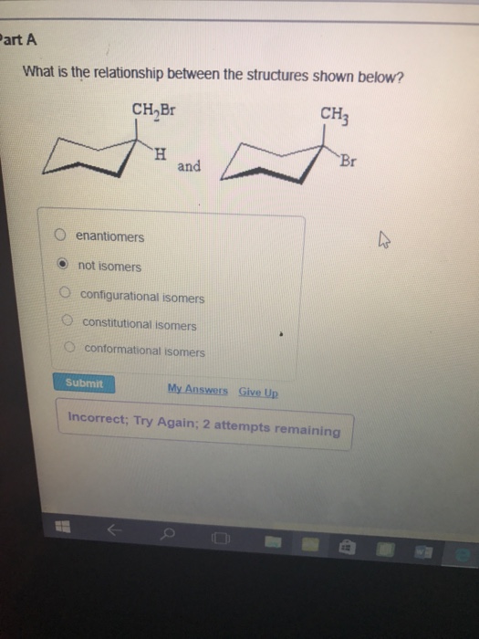 Solved What is the relationship between the structures shown | Chegg.com