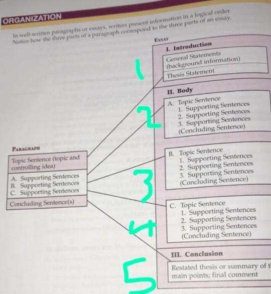 What Are The 3 Parts Of A Thesis Statement