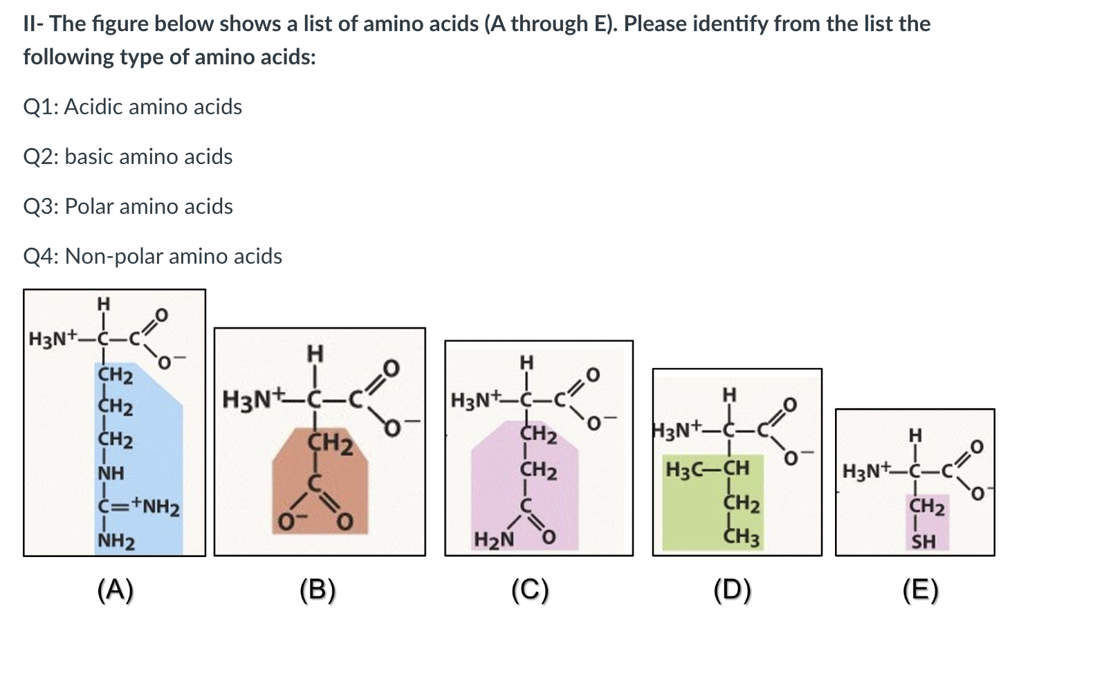 Solved II- The figure below shows a list of amino acids (A | Chegg.com