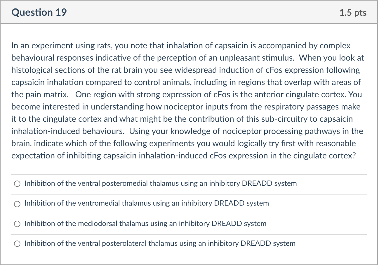Solved Question 19 1.5 pts In an experiment using rats, you | Chegg.com