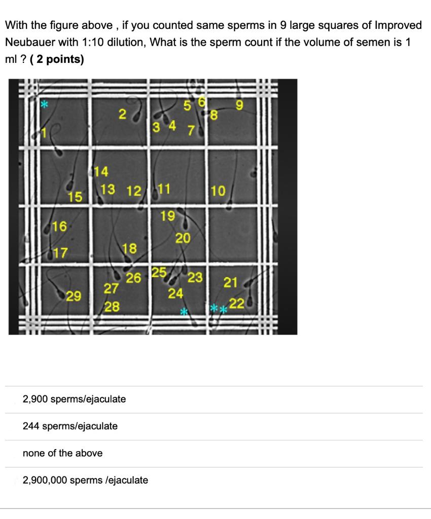 Solved With the figure above, if you counted same sperms in | Chegg.com
