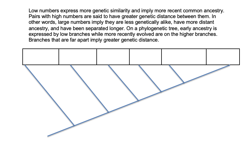 solved-part-iv-phylogeny-based-on-molecular-genetics-recent-chegg