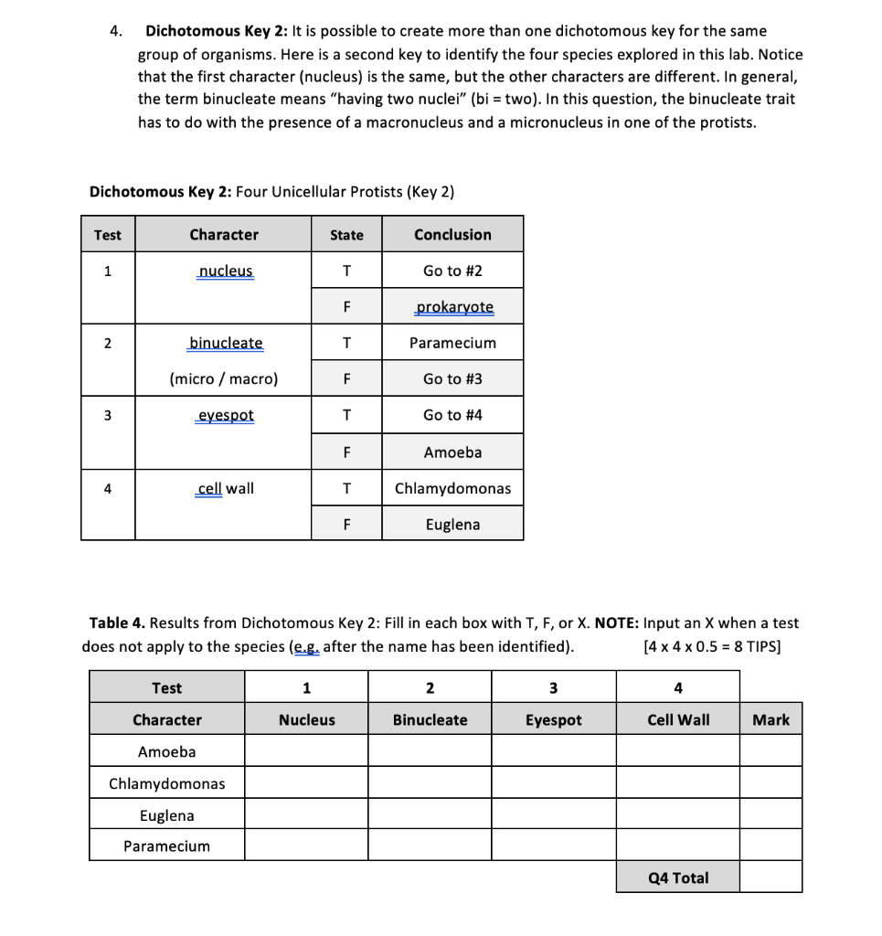 Solved 4. Dichotomous Key 2: It Is Possible To Create More | Chegg.com