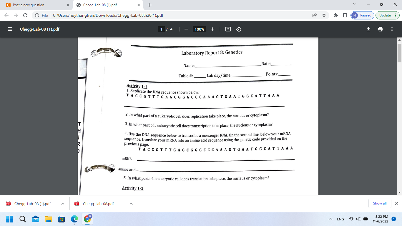 Activity 1-1
1. Replicate the DNA sequence shown below:
T A C CG T T T G A G C G G G C C C A A A G T G A A T G G C A T T A A 