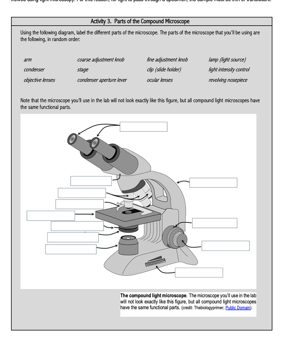 Solved Activity 3. Parts of the Compound Microscope Using | Chegg.com