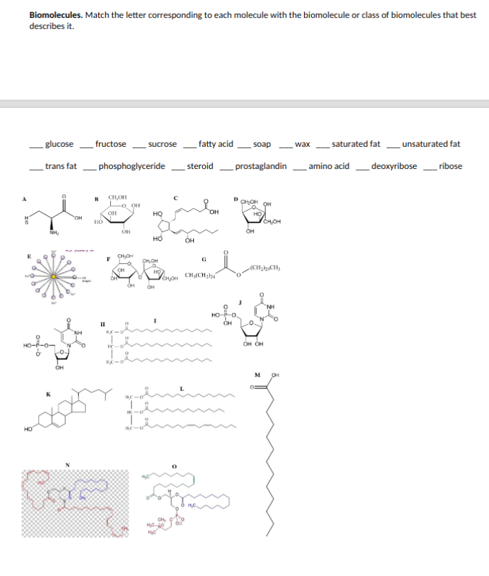 Solved Biomolecules. Match The Letter Corresponding To Each | Chegg.com