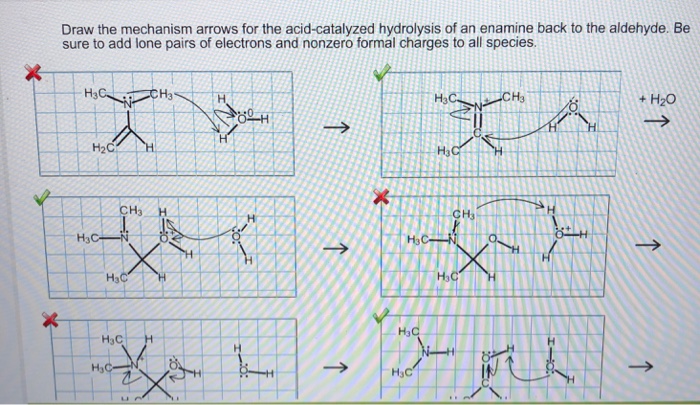 Solved Draw the mechanism arrows for the acid-catalyzed | Chegg.com