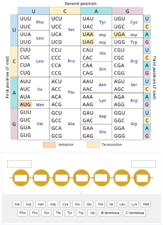 Solved This is a double-stranded DNA sequence—with no | Chegg.com