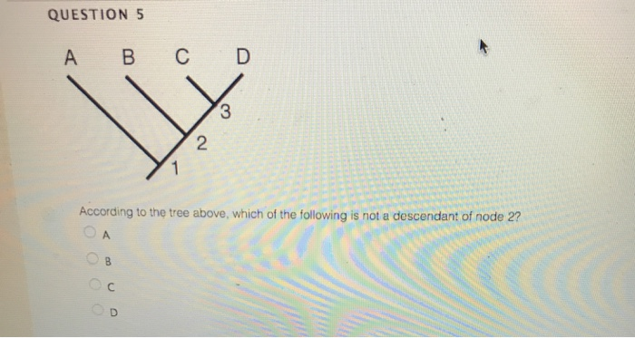 Solved A B C D B C D AB C D A B C D. A 1. 2. 3, Which Of The | Chegg.com