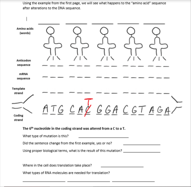 Solved You will be using a modified genetic code (at the end | Chegg.com