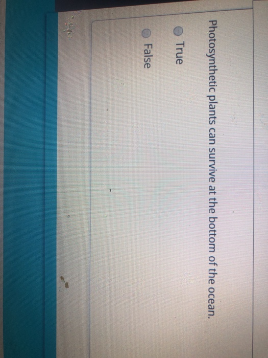 Solved Photosynthetic plants can survive at the bottom of