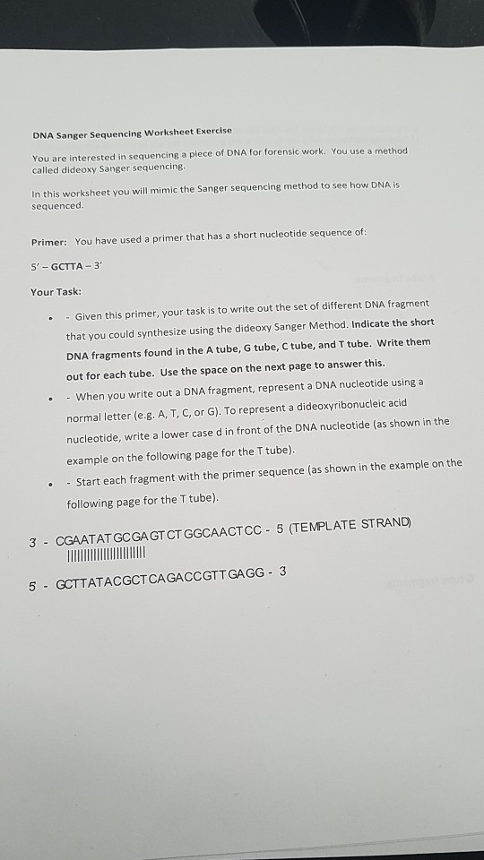 Solved DNA Sanger Sequencing Worksheet Exercise You are | Chegg.com