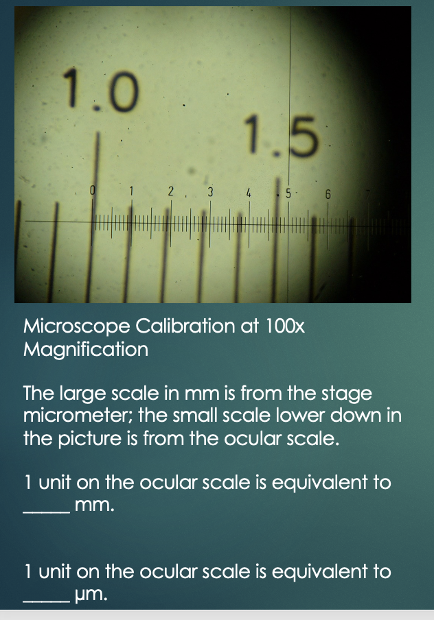  Othmro 1Pcs Mini 100X Microscope, Magnifying Glass