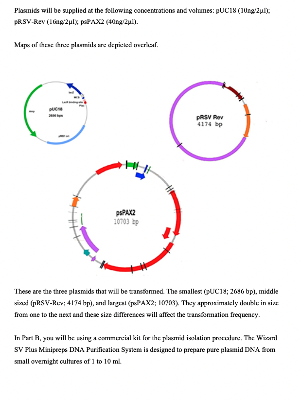 Solved EXPERIMENT 4 A: TRANSFORMATION OF Escherichia coli | Chegg.com