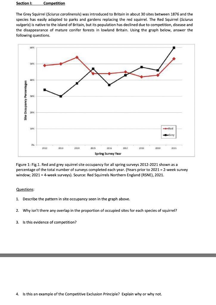 Solved Section 1: Competition The Grey Squirrel (Sciurus | Chegg.com