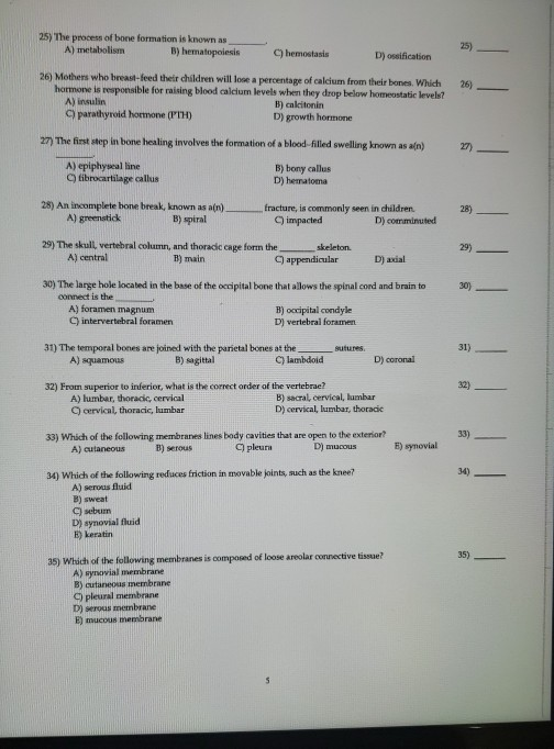 Solved 25) The process of bone formation is known as A) | Chegg.com