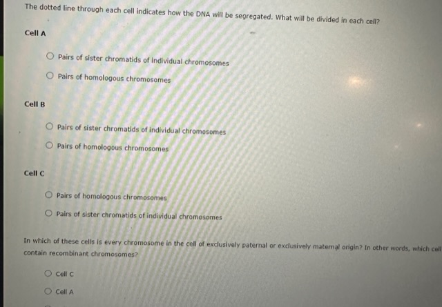 Solved 3. Metaphase chromosome alignments in mitosis and Biology Diagrams