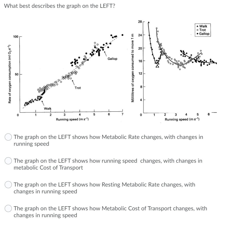 Solved What best describes the graph on the LEFT? 28 A Walk | Chegg.com