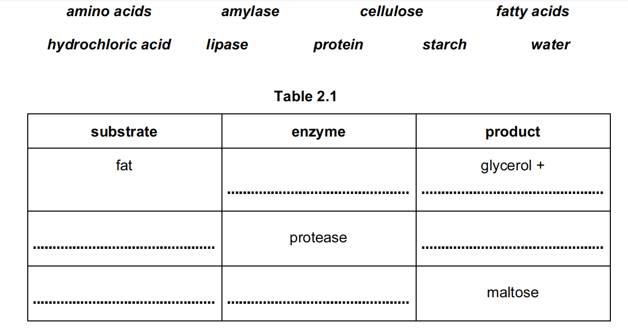 Solved Catalase is an enzyme that breaks down hydrogen