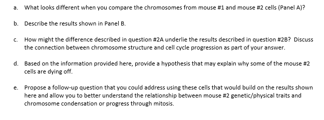 Solved Mice are often used as model organisms to study the | Chegg.com