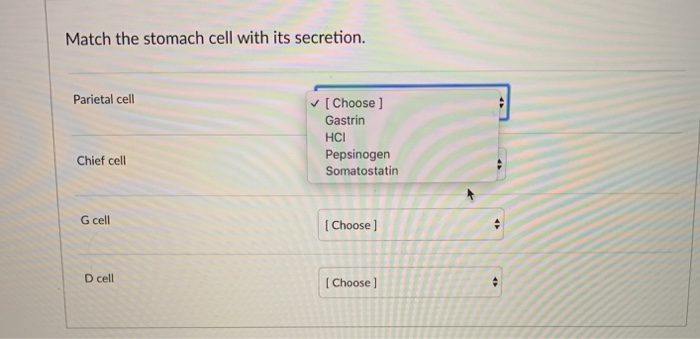 The Stomach S Hidden Power Match The Cell Get The Secretion - l7w6rhu