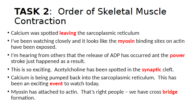 Solved Instructions - TASK 2: Order of Skeletal Muscle | Chegg.com