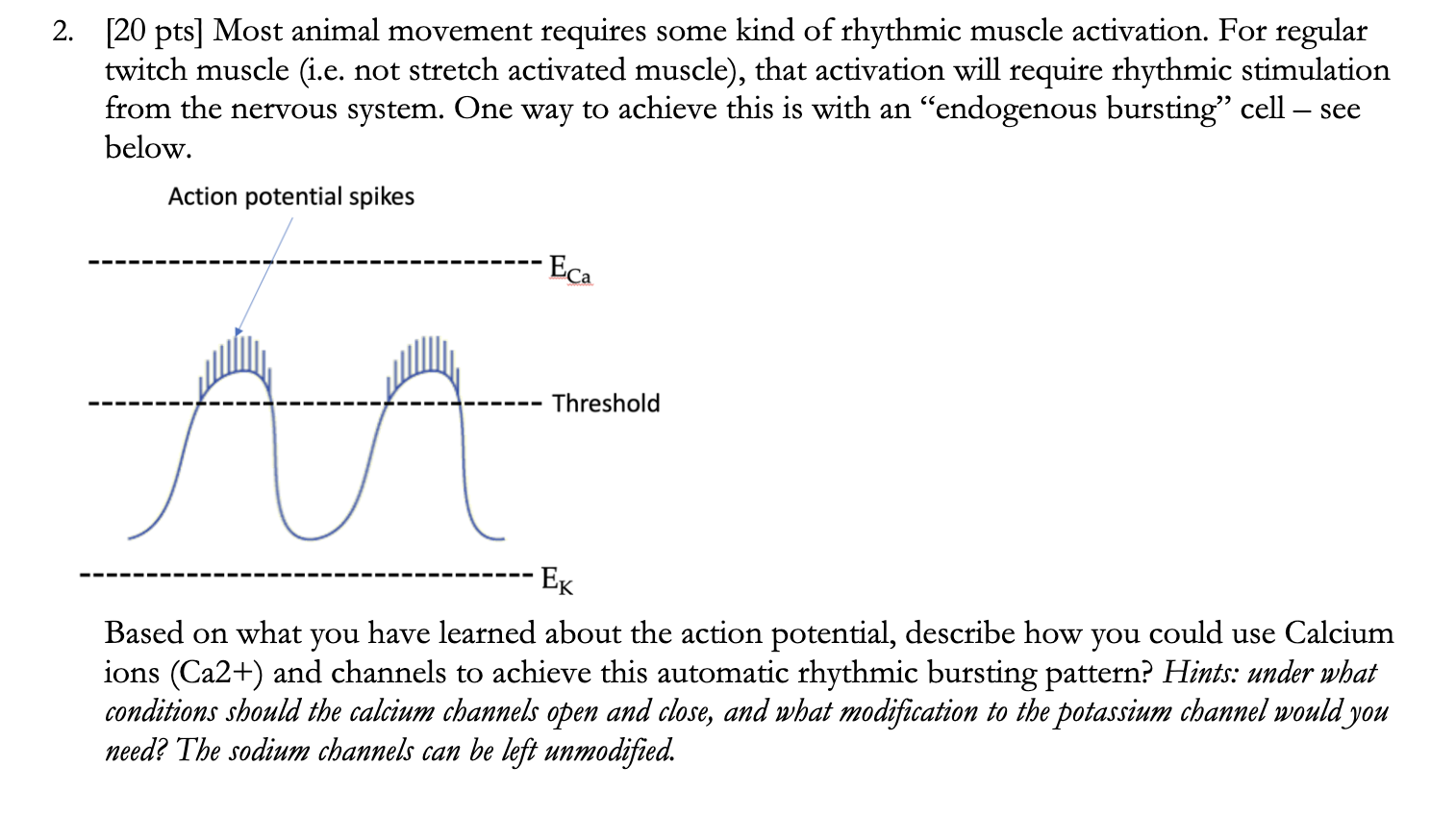 Action potential- it is defined as a transient change | Chegg.com