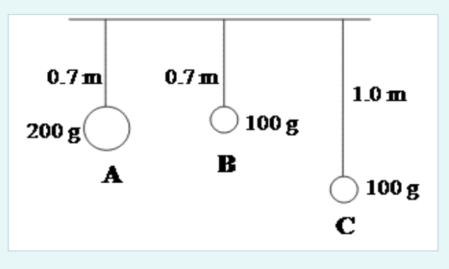 Solved Three pendulums with lengths and masses as shown, are | Chegg.com