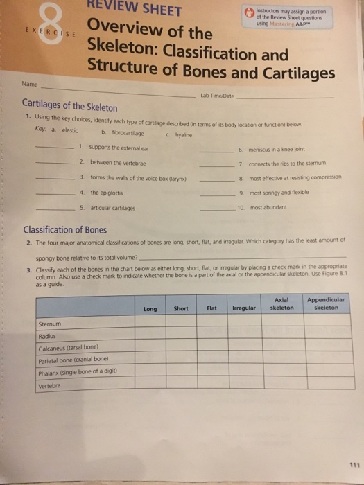 Overview Of The Skeleton Exercise 7 Answer Key Online Degrees