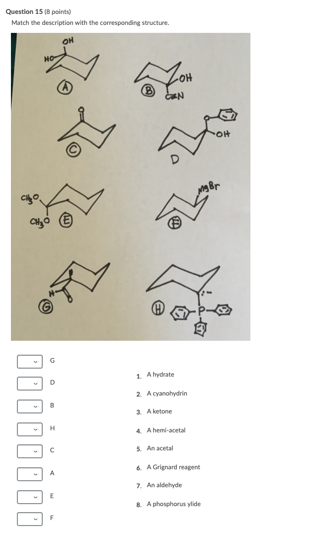 Solved Question 15 (8 points) Match the description with the | Chegg.com