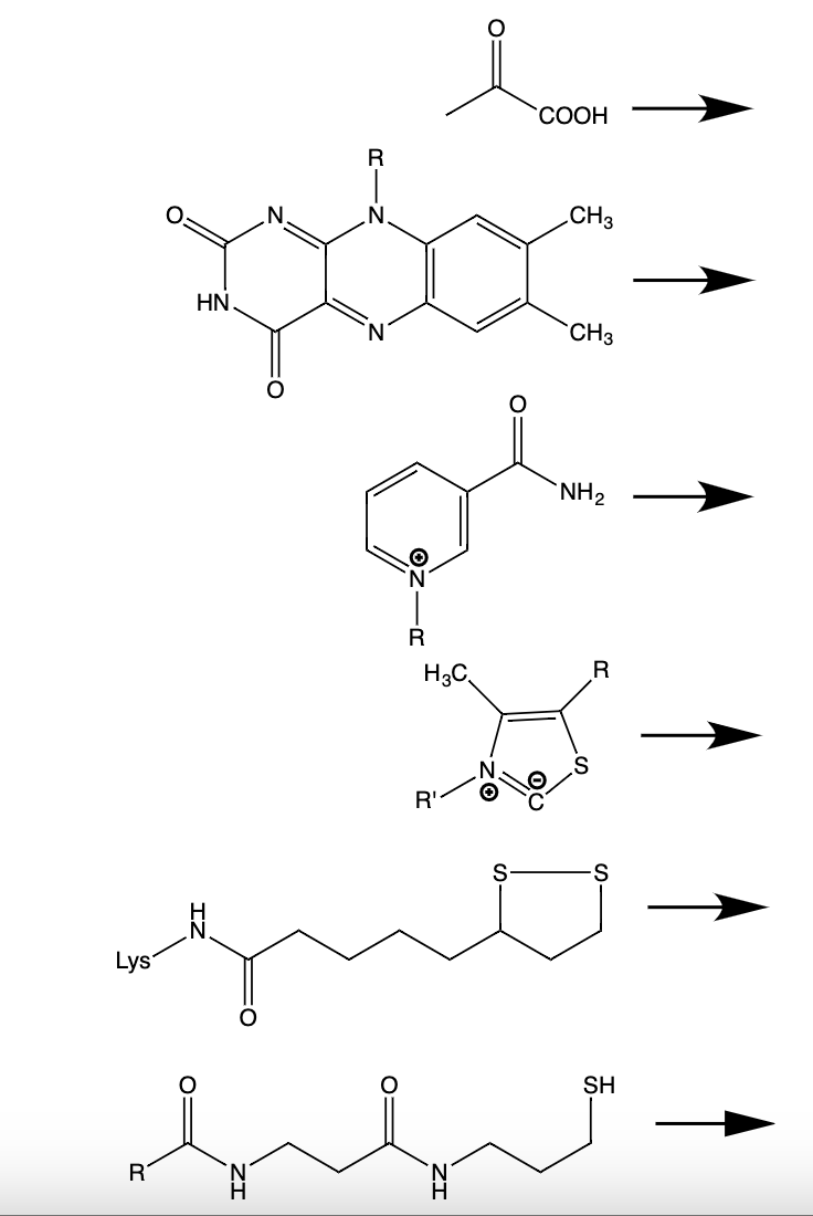 Solved Pyruvate dehydrogenase is a multienzyme complex. The
