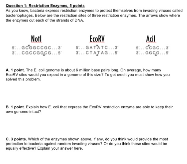 Solved Question 1: Restriction Enzymes, 5 Points As You | Chegg.com