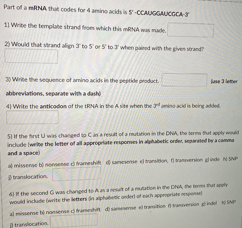 Solved Part of a mRNA that codes for 4 amino acids is | Chegg.com