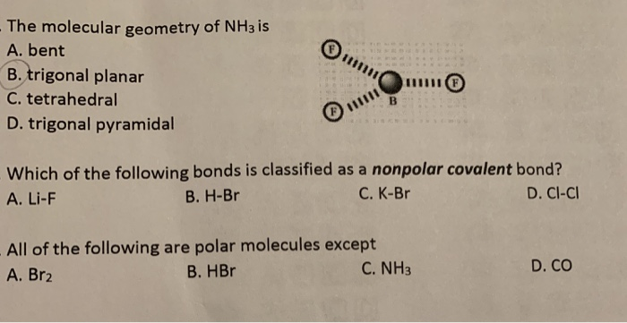 Nh3 Molecular Shape