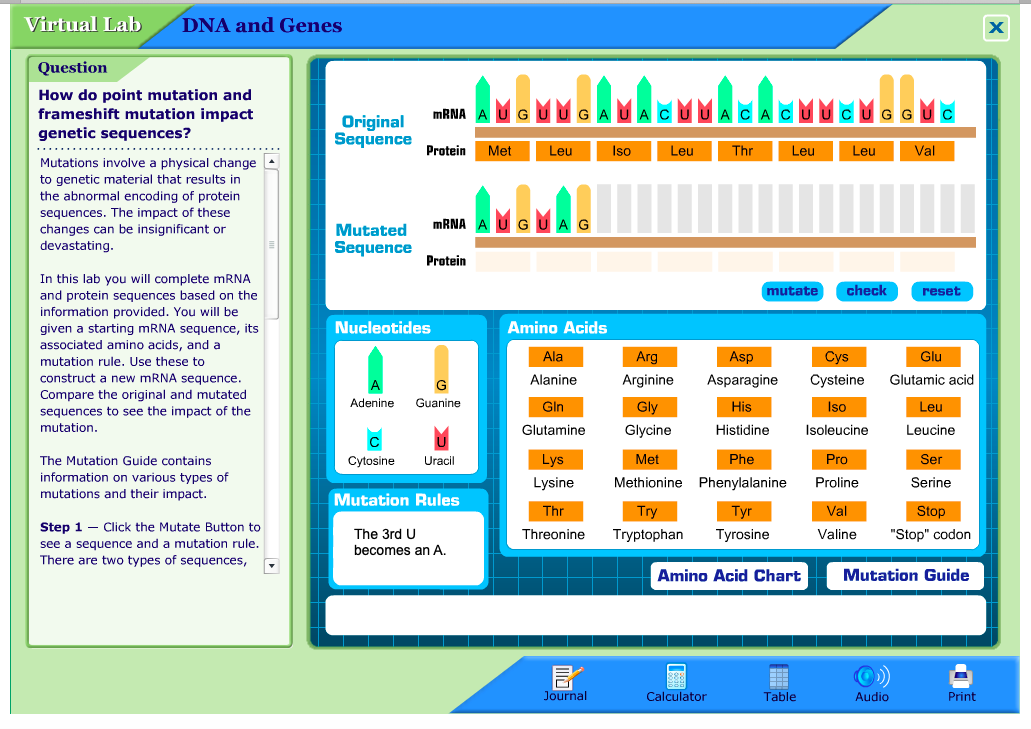 How To Transcribe Dna To Mrna Calculator