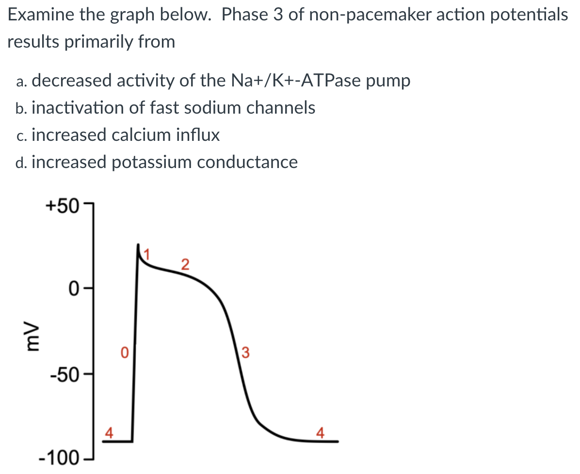 Solved Examine The Graph Below. Phase 3 Of Non-pacemaker | Chegg.com