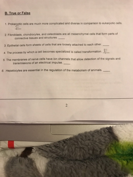 Solved B. True Or False 1. Prokaryotic Cells Are Much More | Chegg.com