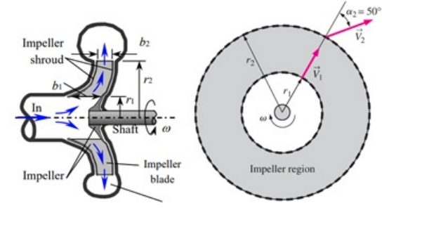 Solved The impeller of a centrifugal pump has inner and | Chegg.com