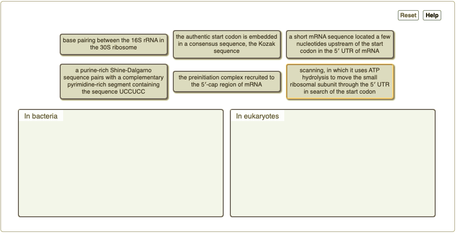 solved-starting-translation-at-the-authentic-correct-start-chegg