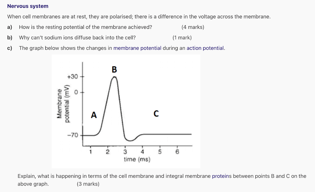 Solved Nervous system When cell membranes are at rest, they | Chegg.com