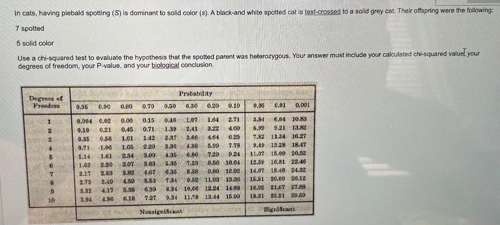 Solved In cats, having piebald spotting (S) is dominant to | Chegg.com